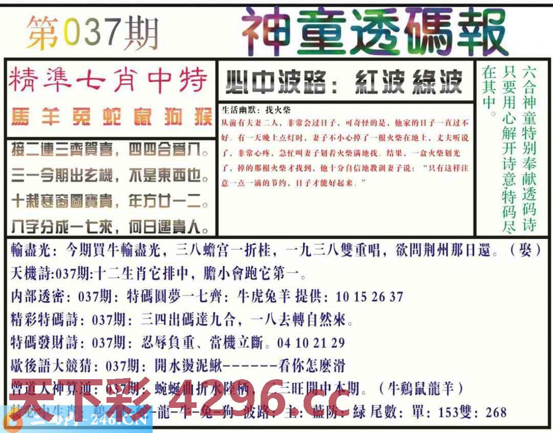 ：神童透码报(正版)